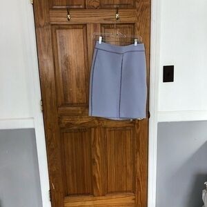 NWT Ann Taylor lilac midi skirt sz 6p